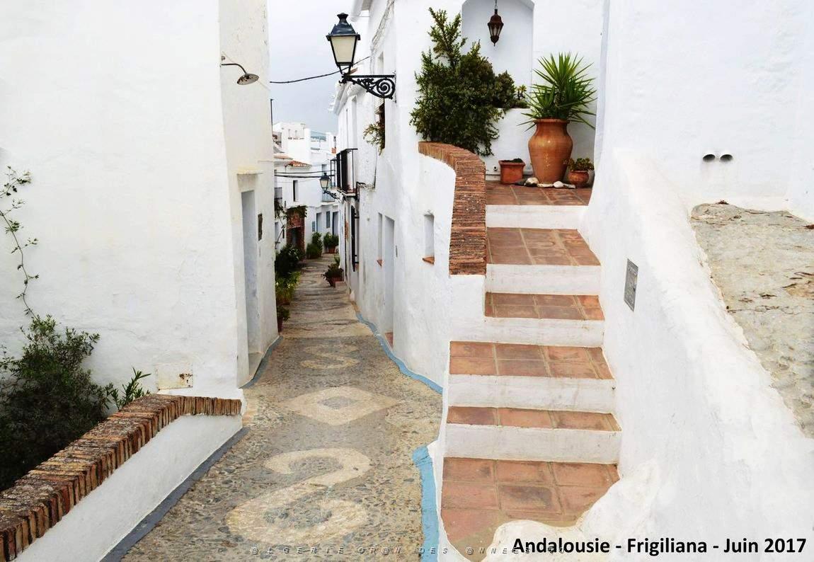 568 - Frigiliana.JPG